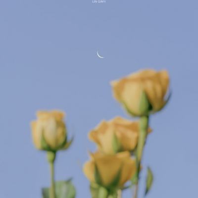 凤凰彩票welcome下载手机版