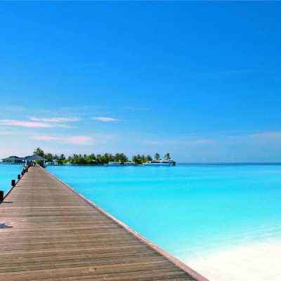 海星体育app下载ios