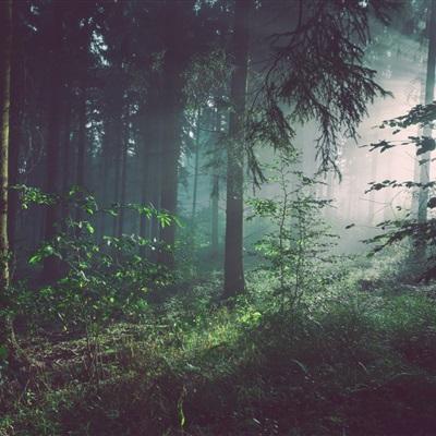 开云(中国)Kaiyun